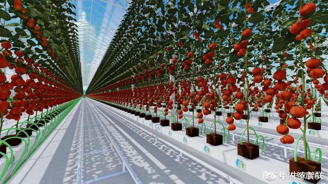 关于【自动判决系统】挥杆瞬间由科技“定夺”，未来已来？的信息