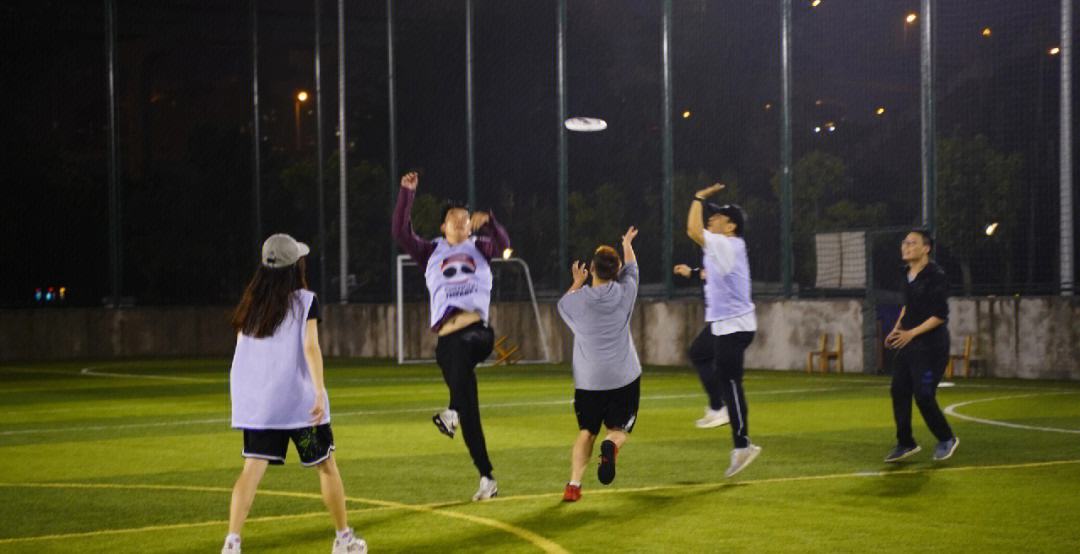 世界极限飞盘巡回赛，团队合作的极致挑战的简单介绍