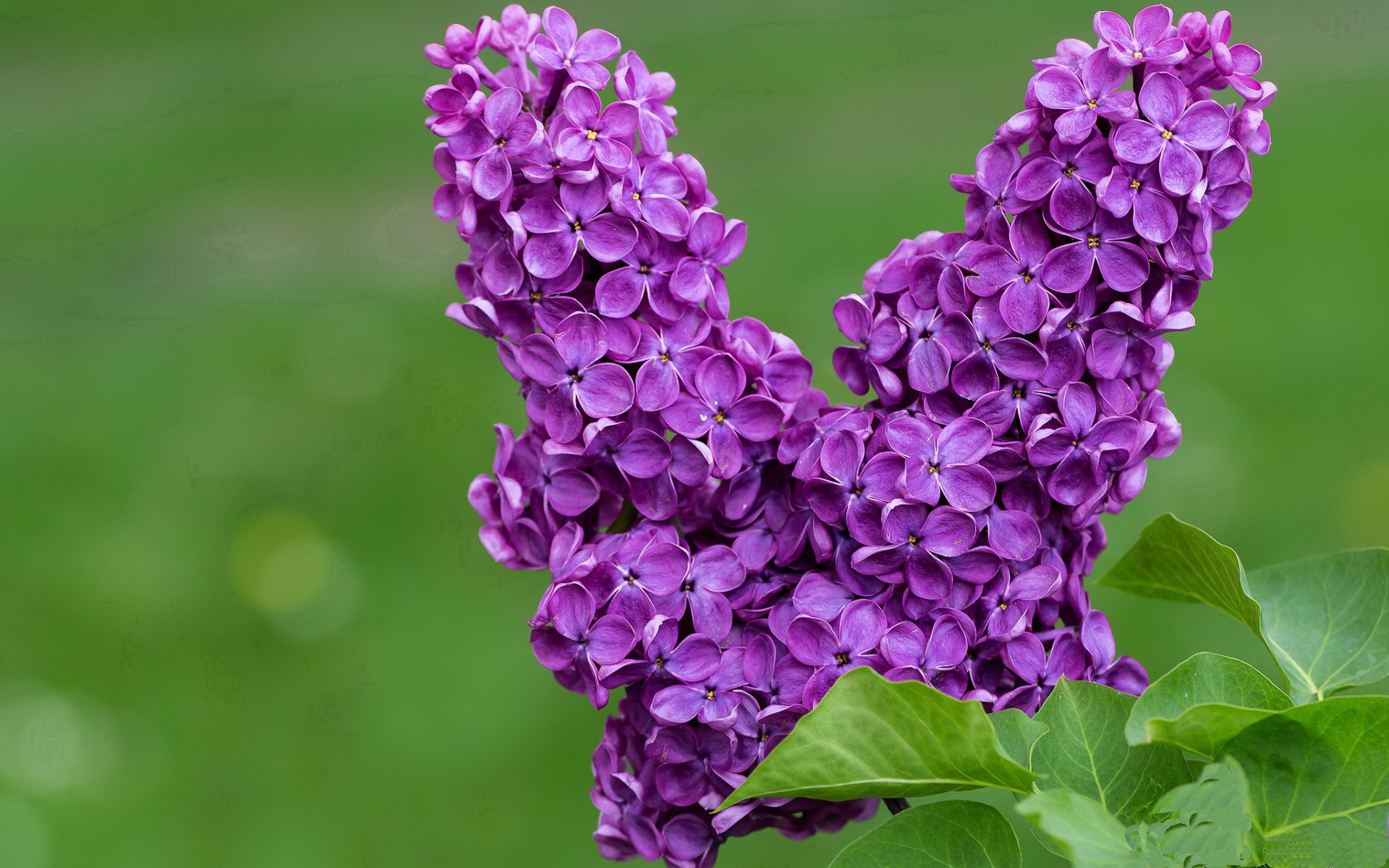 九游电脑版-2019年总决赛第六场：勇士在主场迎战热火，库里在关键第四节连续投中两记三分，带队成功逆转，夺得队史第四个总冠军。