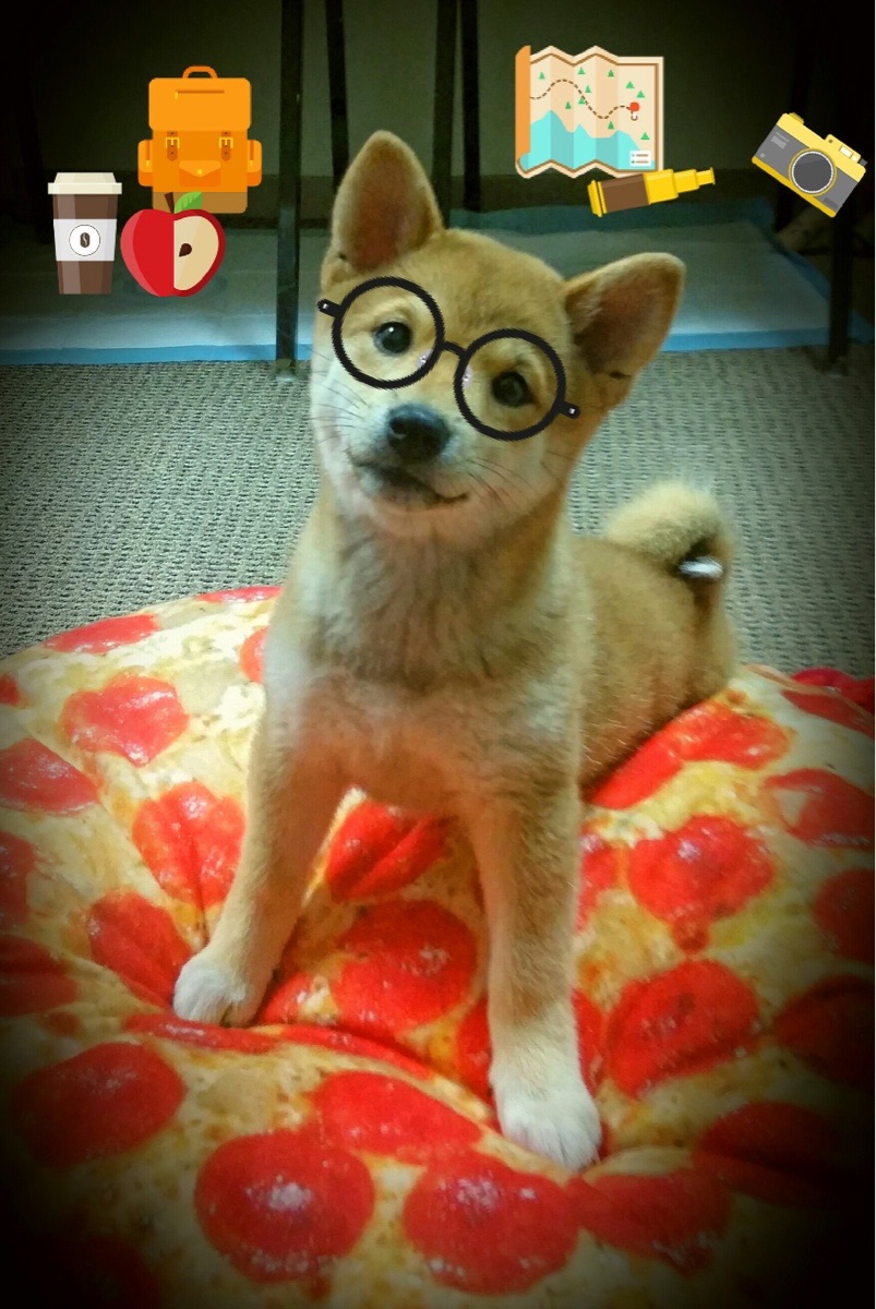 体育精神:那些赞扬与尊重的欧冠瞬间,体育精神值得尊重词语