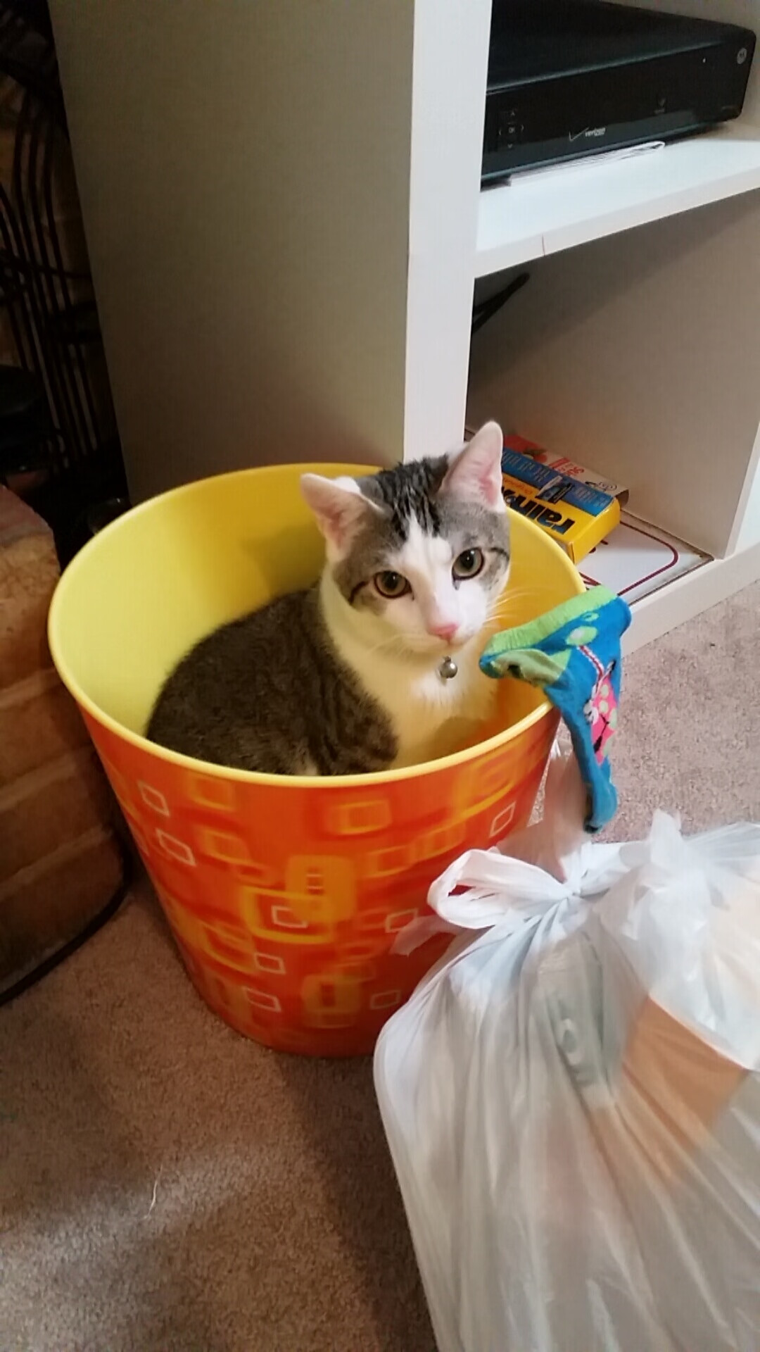 德甲教练详解比赛防守策略,核心数据背后隐藏的战术密码,德甲对抗