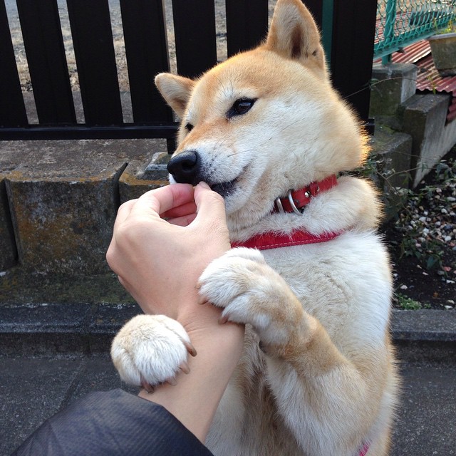 德甲新变化：战术灵活多变，精彩瞬间不断涌现，德甲新赛季前瞻