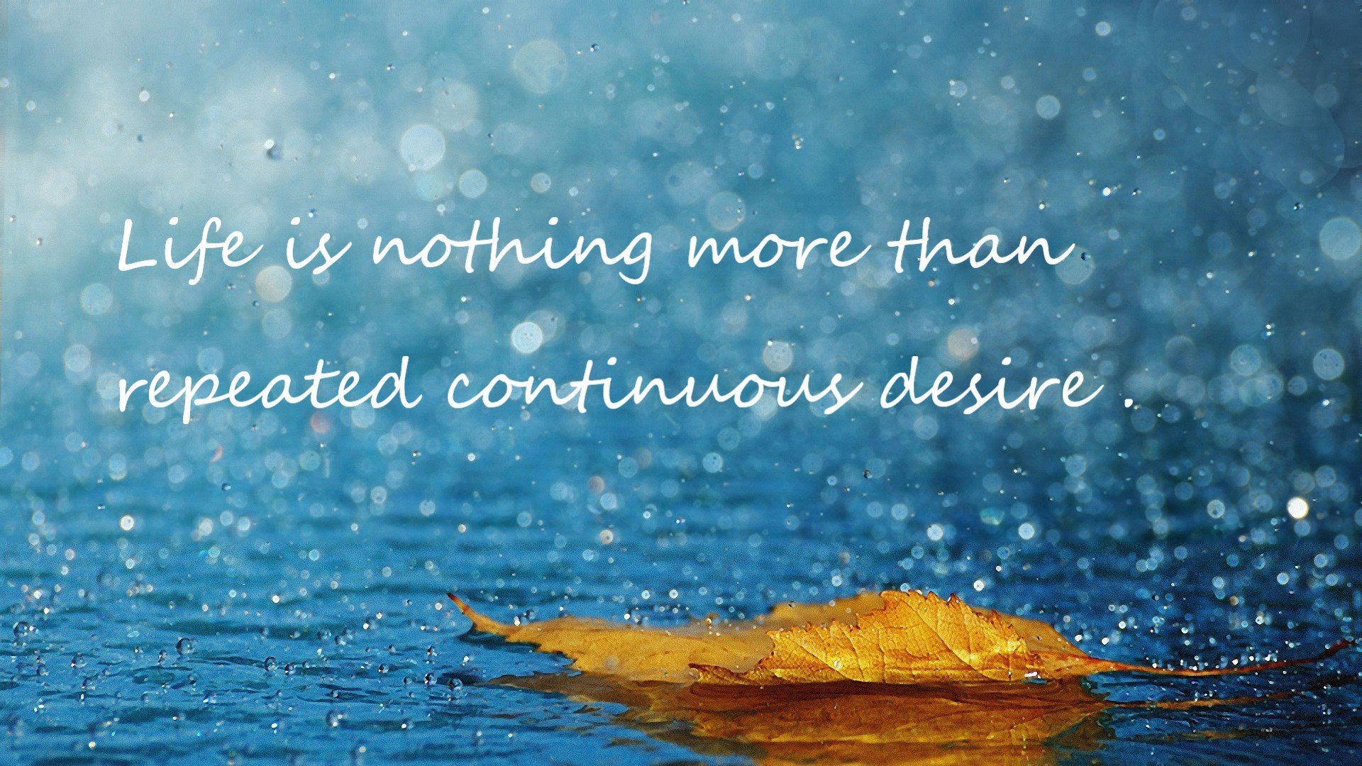 德甲比赛紧凑,精彩瞬间迭出,战术变化频繁,德甲 ds