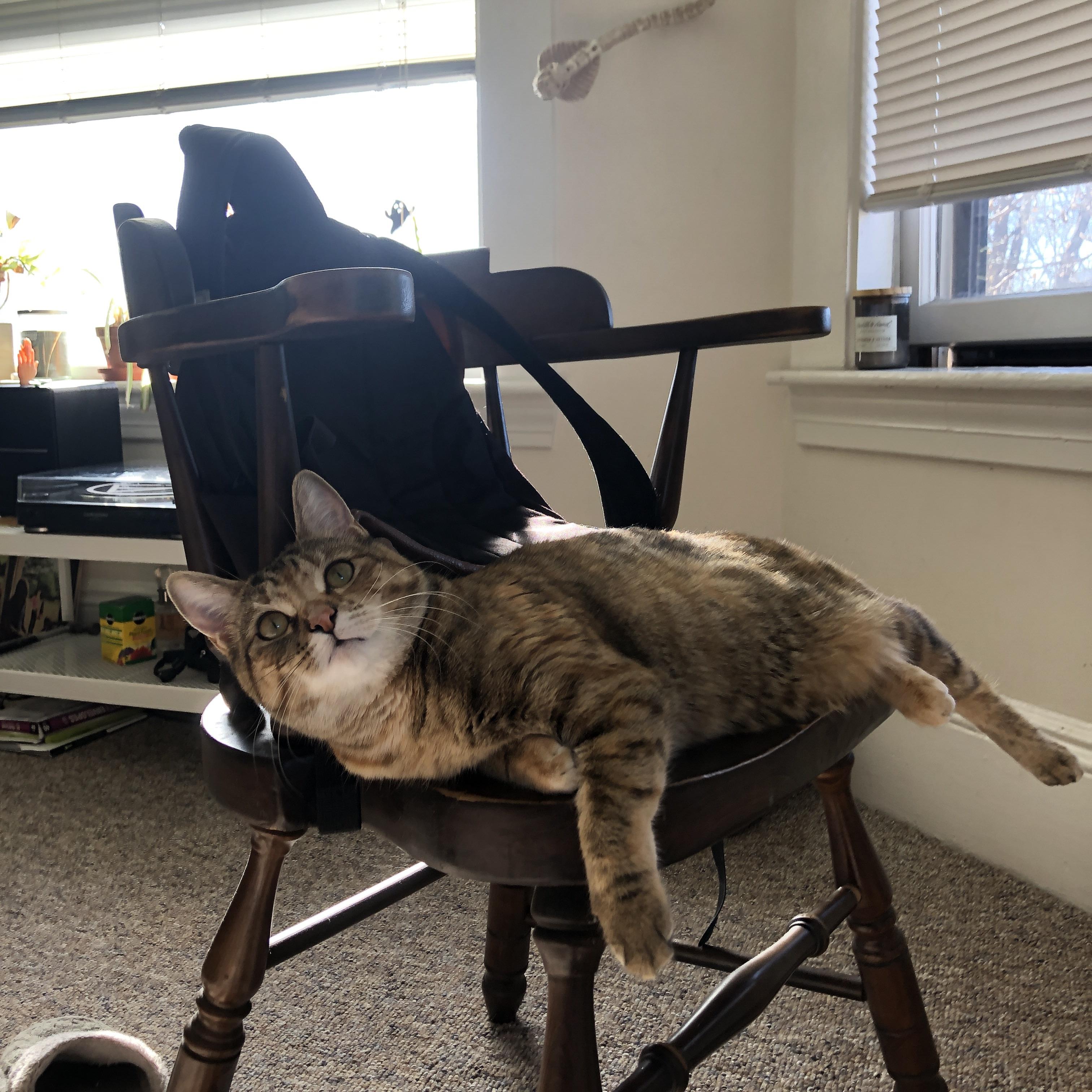 法国出局夜,铁血球迷高唱《马赛曲》,法国马赛曲视频