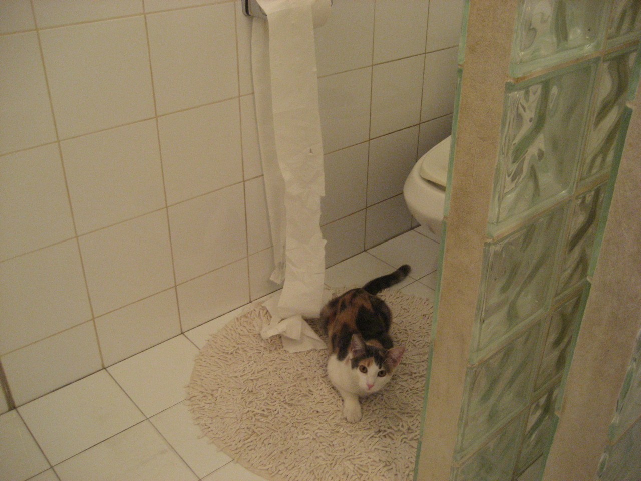 逆转“梦幻之夜”:欧冠舞台上的奇迹回忆,欧冠梦幻球场