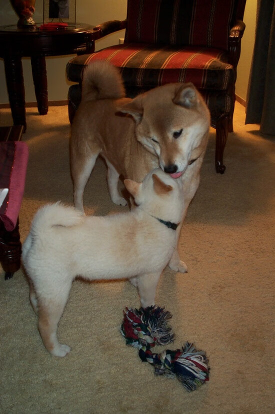 九游娱乐官网 (JIUYOU)-逆转“神奇之夜”：满载荣耀的传奇时刻，神奇逆袭人生