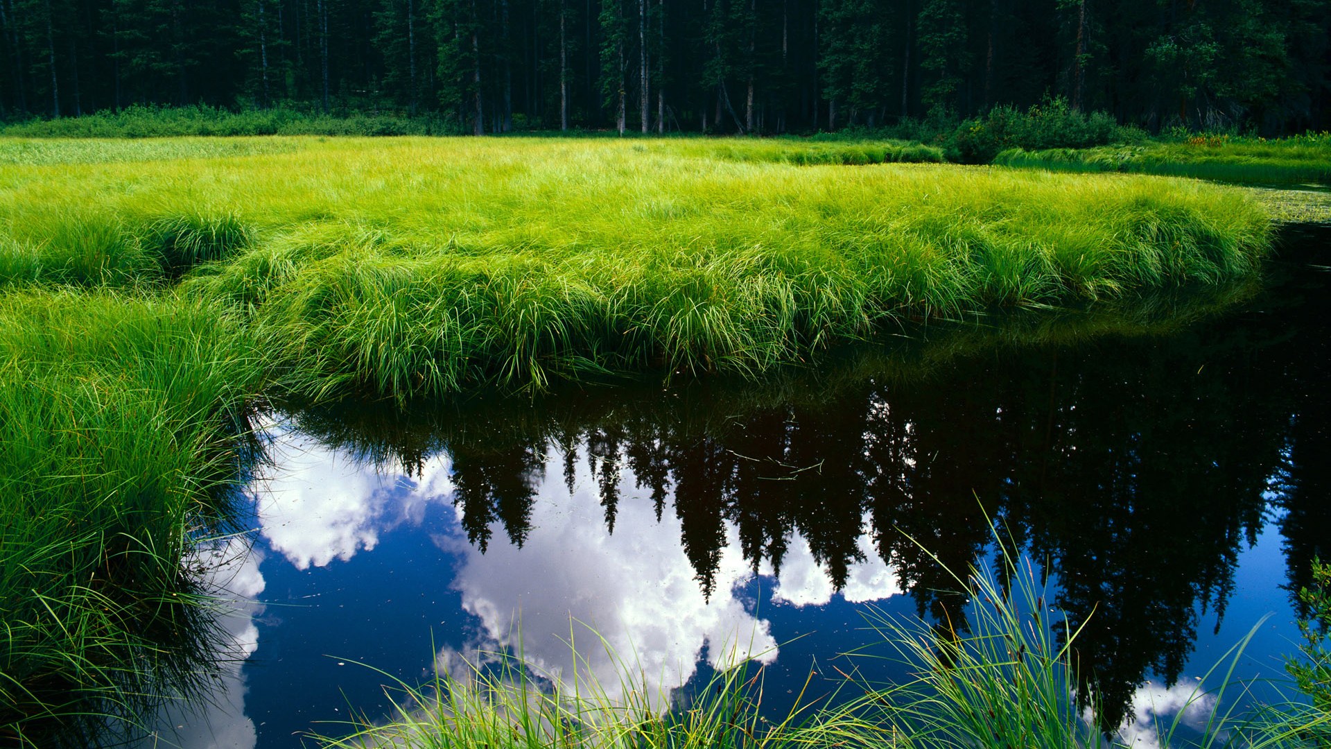《布克表现出色，带领球队拼搏至最后一刻》，布克入场