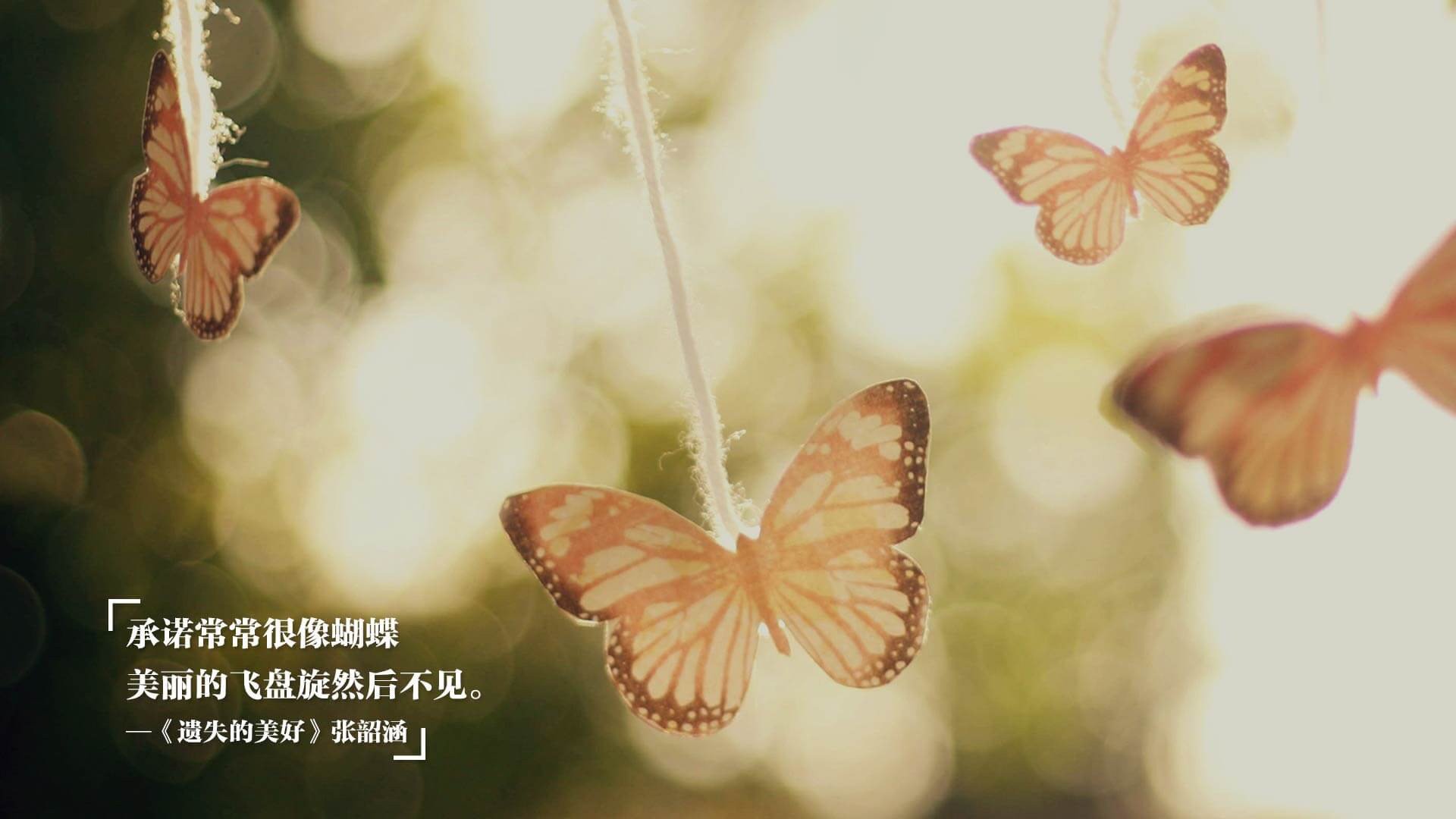 《布克表现出色，带领球队拼搏至最后一刻》，布克入场