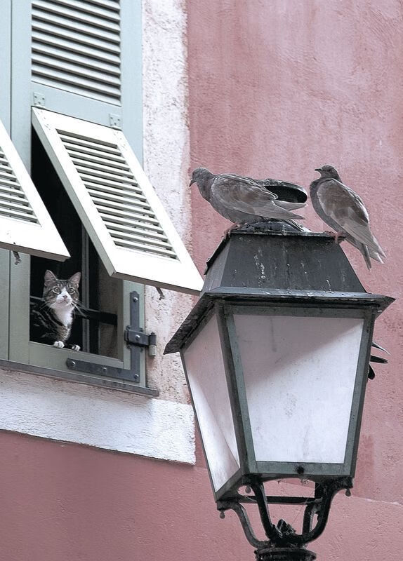 九游sports-法甲是否有望提升对欧洲赛事的统治力，法甲球队欧战成绩