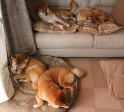 皇马遭遇巴黎逆转,遗憾止步欧冠八强,欧冠皇马vs巴黎