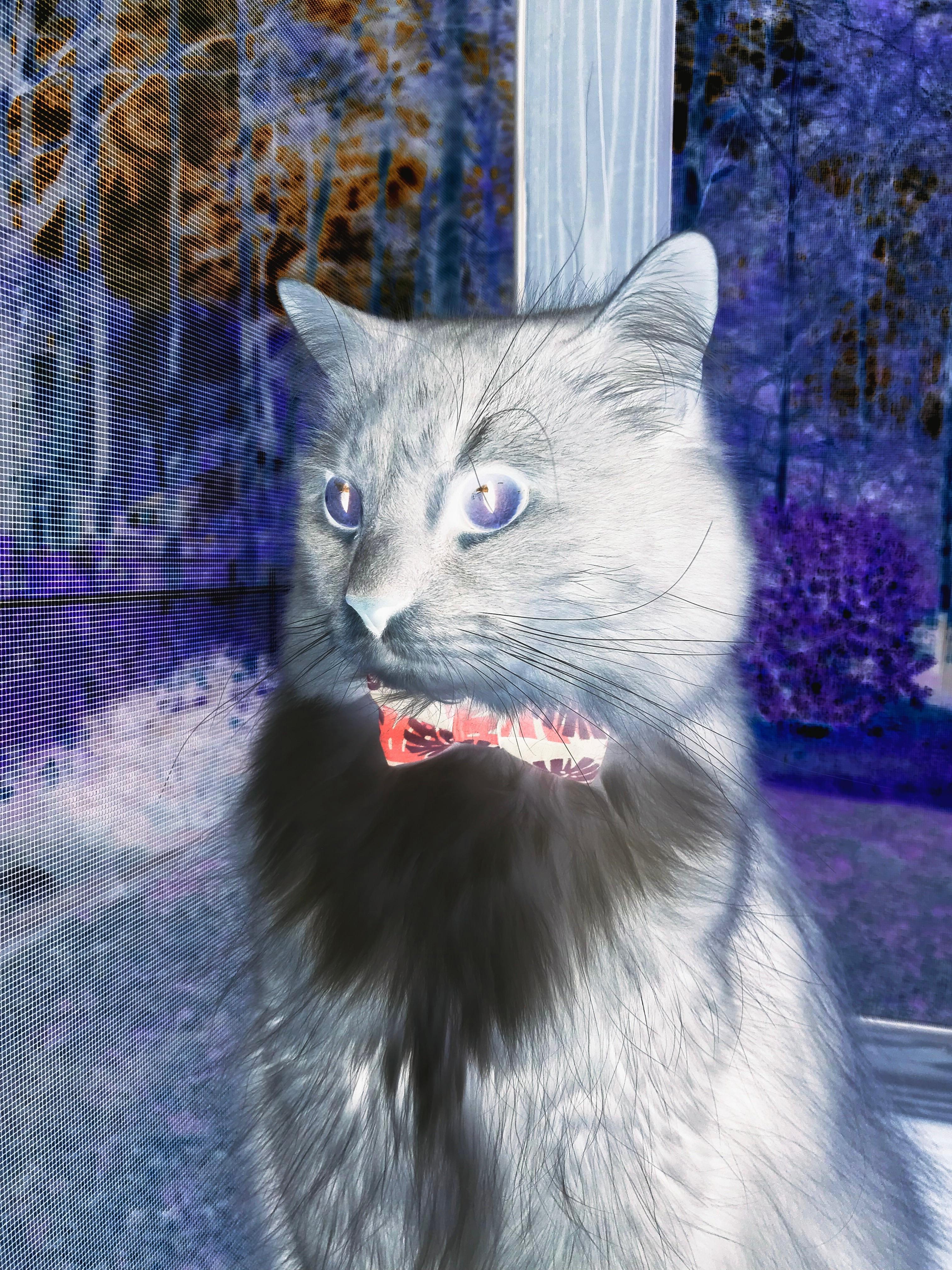 九游网页版官网入口-雷霆击败独行侠，季后赛首轮中亚历山大三分雨不断，雷霆亚历山大选秀报告