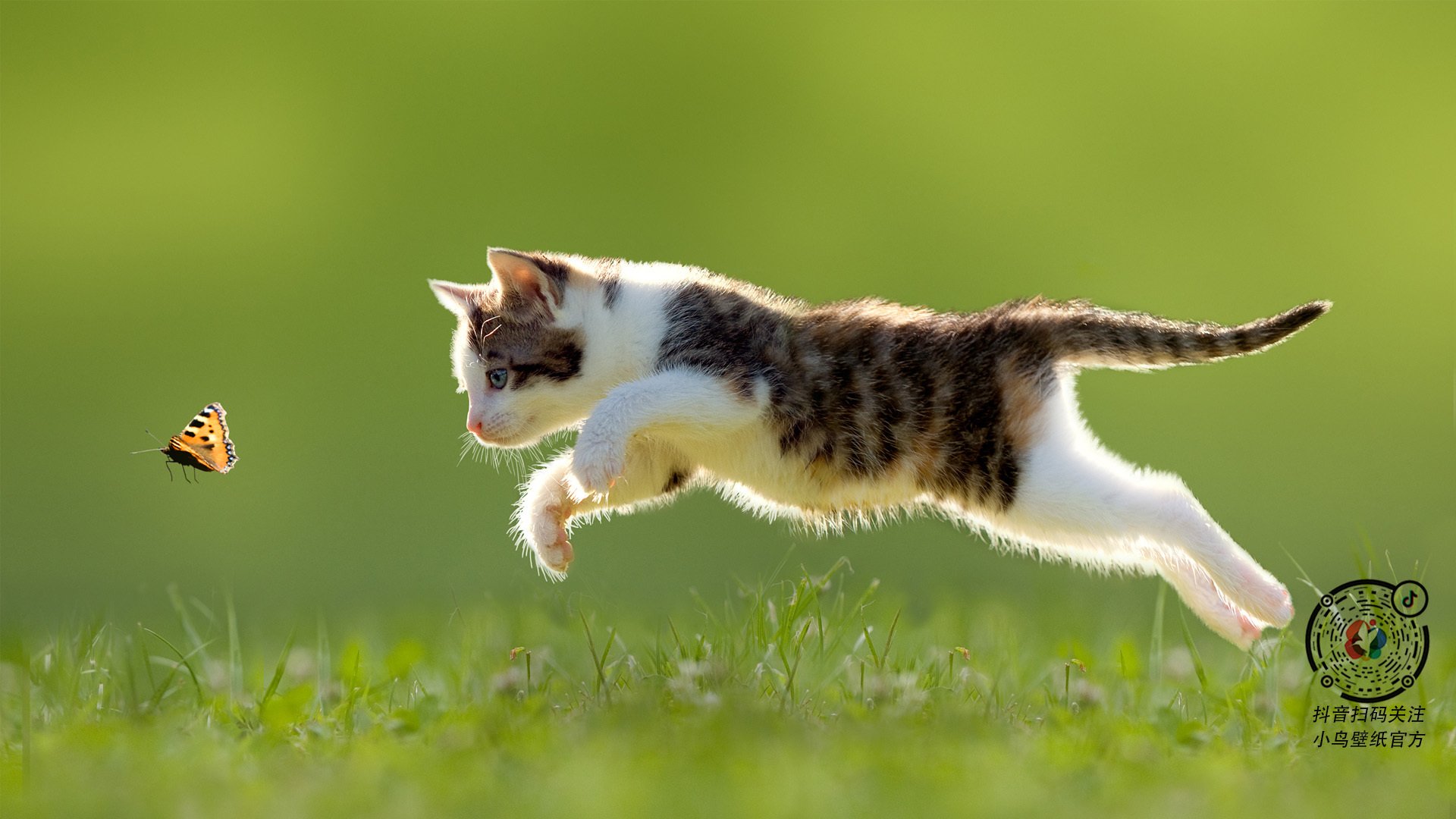 雷霆压哨战胜凯尔特人,关键一役中亚历山大创下生涯新高,亚历山大雷霆百度百科