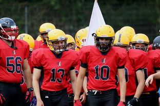 九游sports-中超球员年度射门类型结构分类，足球门将射门