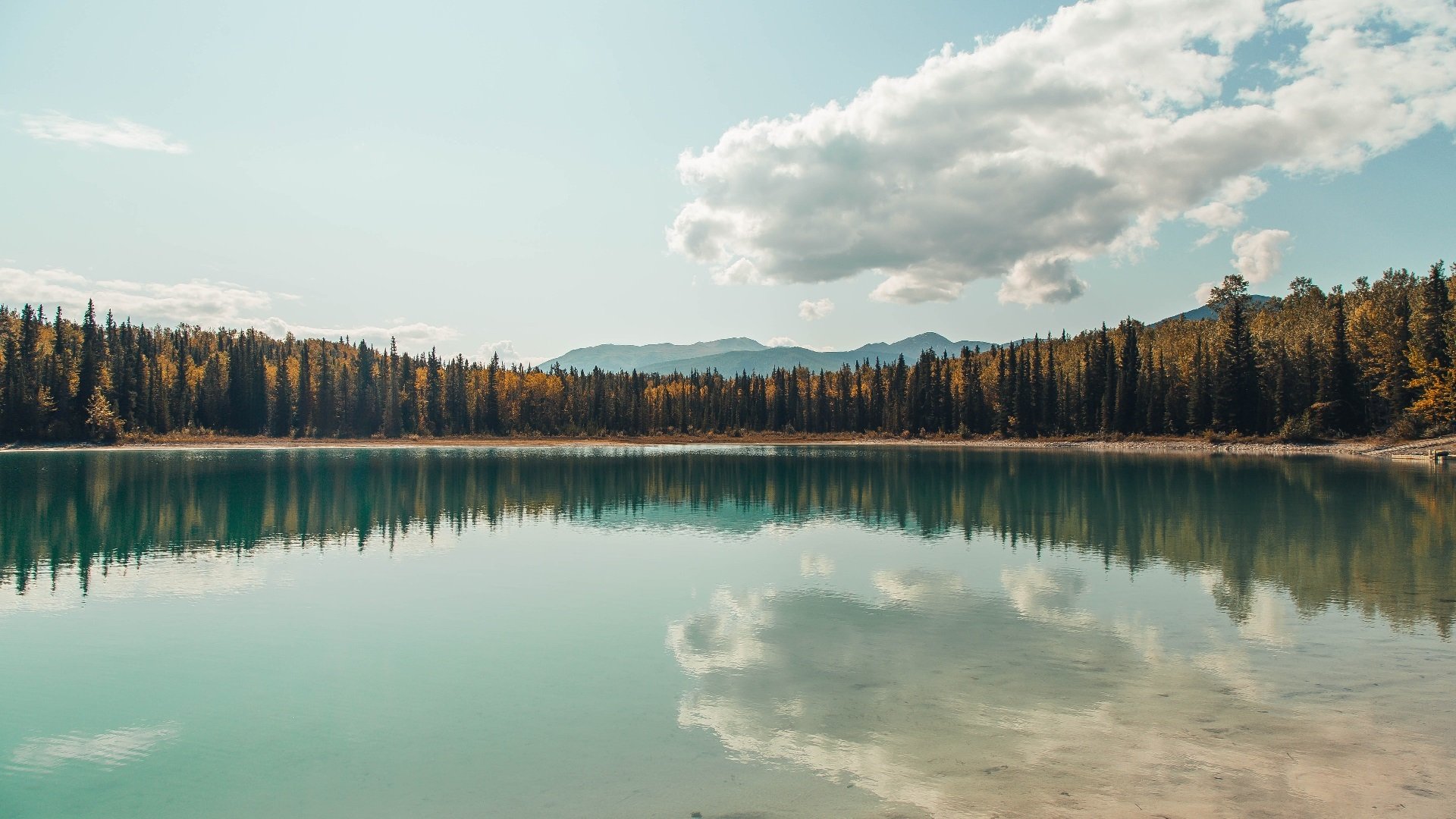 国足门前处理效率排名评估,国足国门