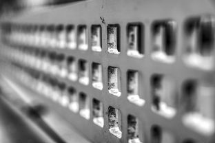 九游jiuyou-青少年体质监测结果区域对比研究，青少年健康体质检测中心