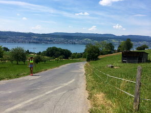 九游网页版官网-“缆绳滑水：东桃花岛赛场呈现全新水上运动魅力”