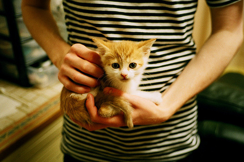 九游官网pc-中小学生体育测评系统接入校园APP平台，中小学体质测试