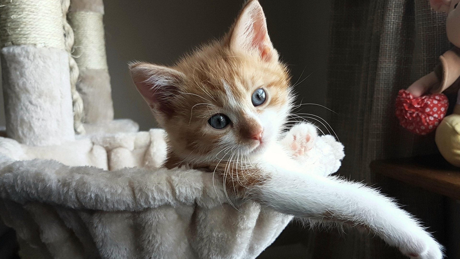 皇马边路快攻成为进攻主旋律，皇马右路