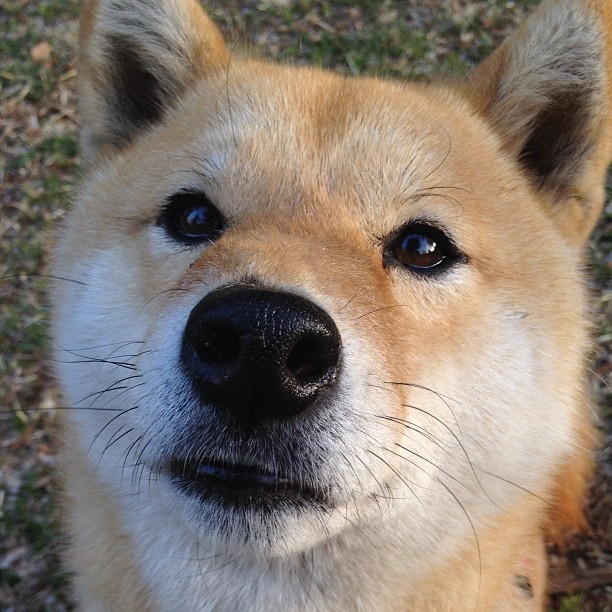 新赛季战术风格大调整多名替补获得上场机会，新赛季对战资料