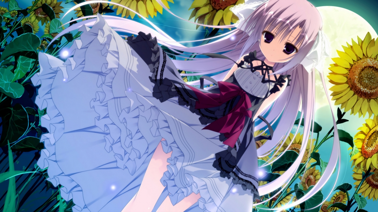 美洲杯激情夜:明星闪耀,胜负悬念重重,美洲杯完整视频