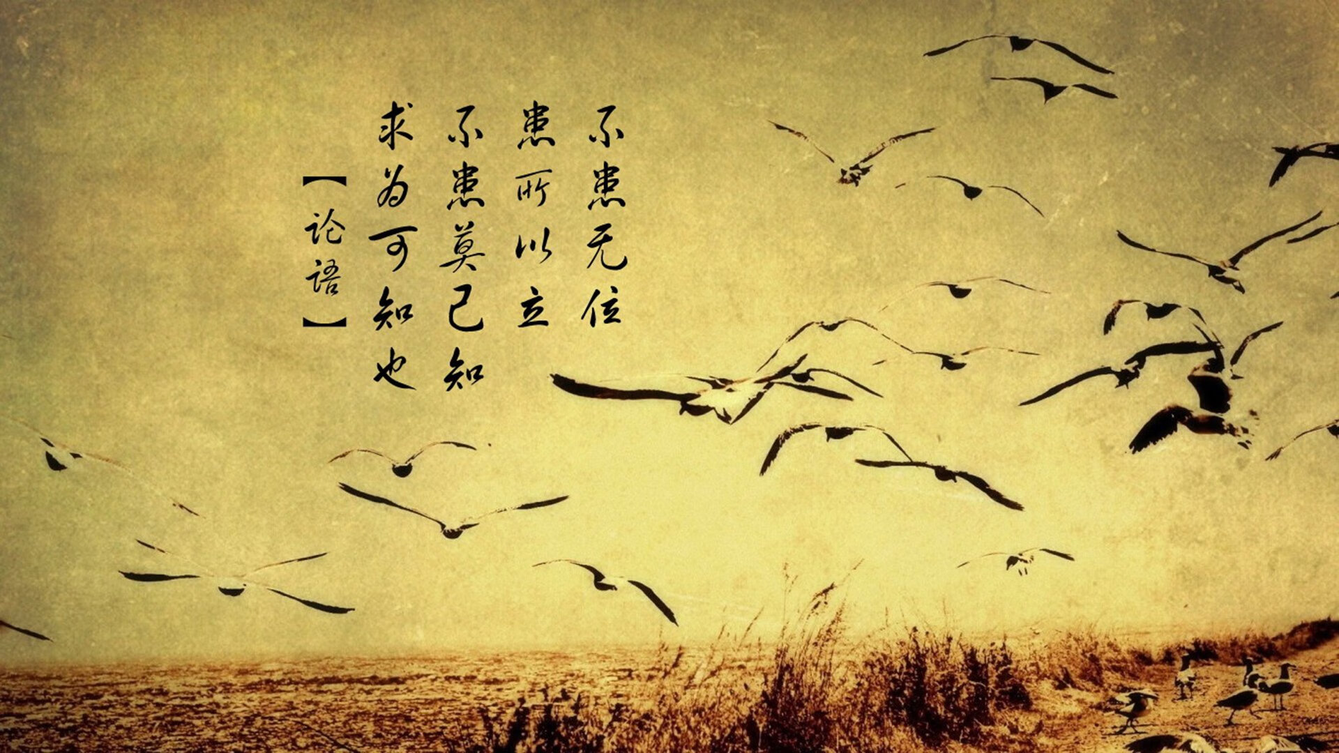 陈佳从跳水跨界蝶泳实现突破,跳水陈佳琪